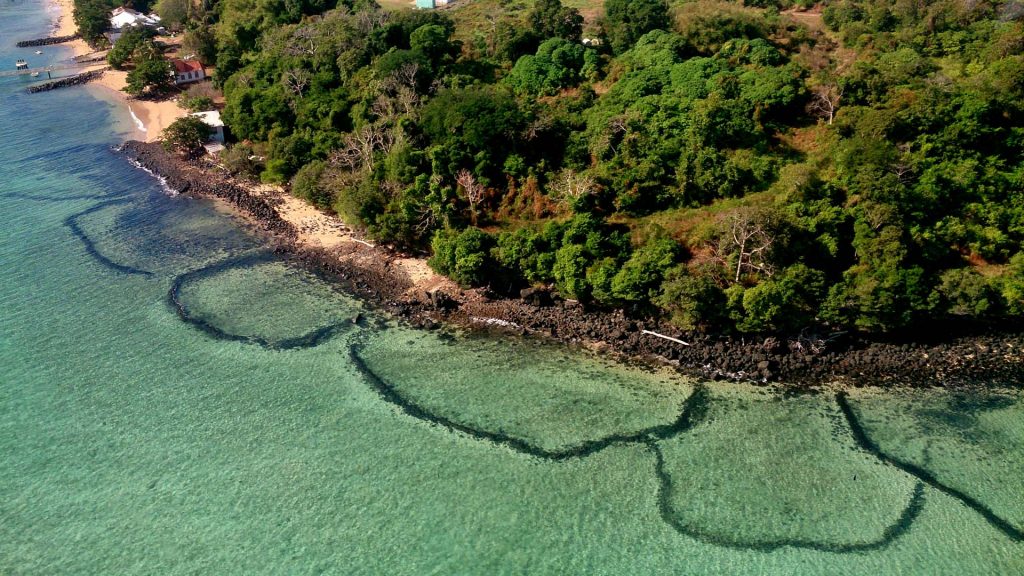 Stephen Island Fish Traps