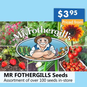 MR FOTHERGILLS Seeds Assorted (each)