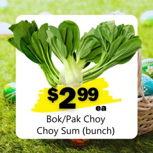 Bok/Pak Choy Choy Sum (bunch) (ea)