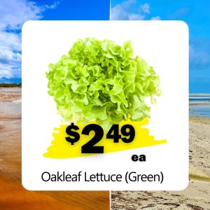 Oakleaf Lettuce (Green) (Ea)