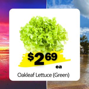 Oakleaf Lettuce (Green) (ea)