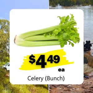 Celery (Bunch) (ea)