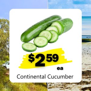 Continental Cucumber (ea)