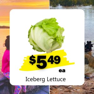 Iceberg Lettuce (ea)