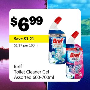 Bref Toilet Cleaner Gel Assorted 600-700ml