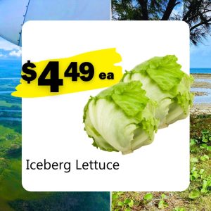 Iceberg Lettuce (ea)