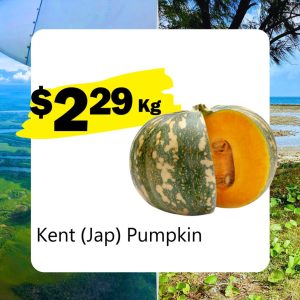 Kent (Jap) Pumpkin (Kg)