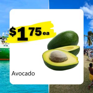 Avocado (Ea)