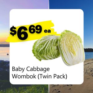 Baby Cabbage Wombok (Twin Pack) (ea)