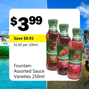 Fountain Assorted Sauce Varieties 250ml
