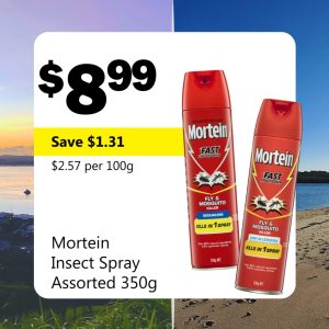 Mortein Insect Spray Assorted 350g