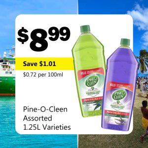 Pine-O-Cleen Assorted 1.25L Varieties