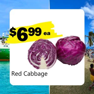 Red Cabbage (Ea)