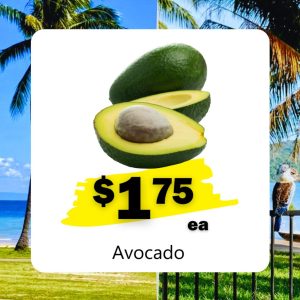 Avocado (ea)