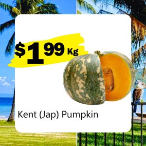 Kent (Jap) Pumpkin (Kg)