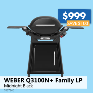 WEBER Q3100N+ Family LP