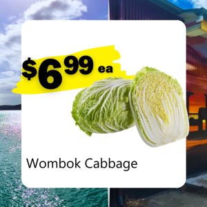 Wombok Cabbage (each)
