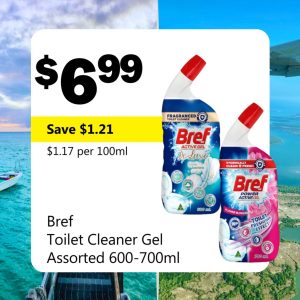 Bref Toilet Cleaner Gel Assorted 600-700ml