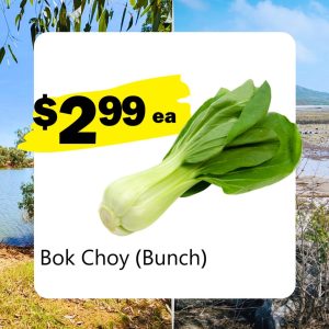 Bok Choy Bunch (ea)