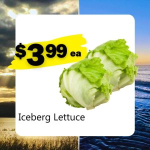 Iceberg Lettuce (ea)