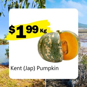 Kent (Jap) Pumpkin (Kg)