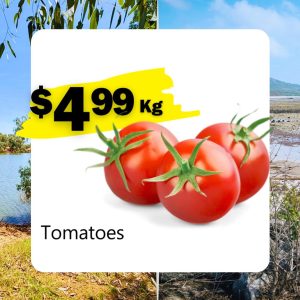 Tomatoes (Kg)