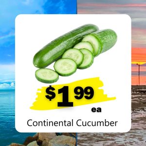 Continental Cucumber (ea)