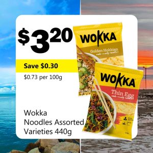 Wokka Noodles Assorted Varieties 440g