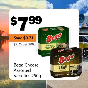 Bega Cheese Assorted Varieties 250g