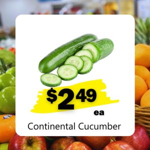 Continental Cucumber (ea)