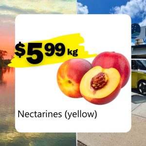 Nectarines (yellow) (Kg)