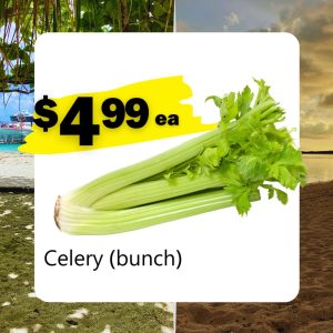 Celery (bunch) (ea)