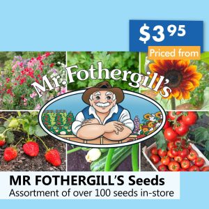 MR FOTHERGILL’S Seeds (from)
