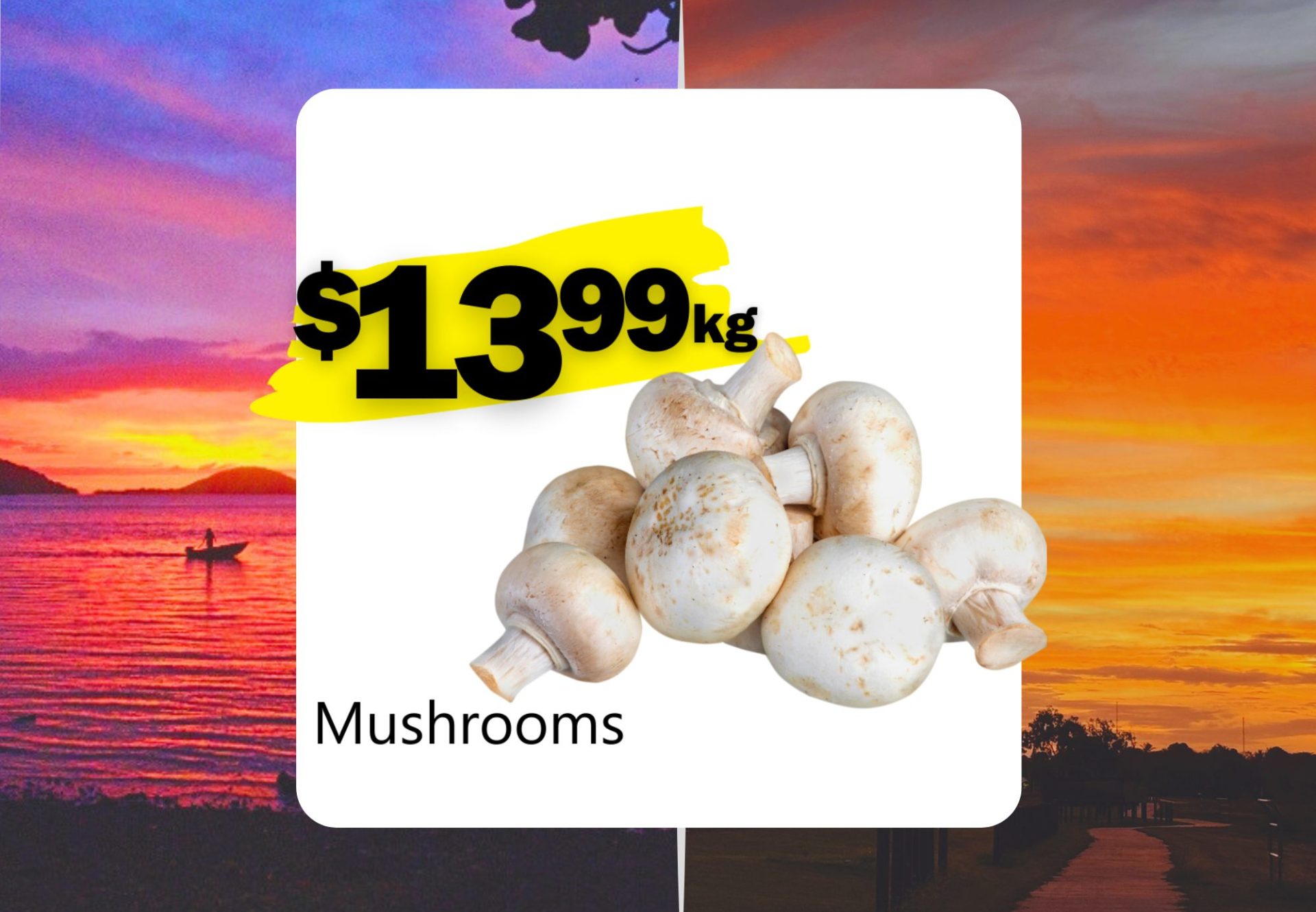 Mushrooms (Kg)