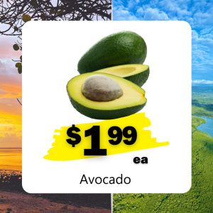 Avocado (Ea)