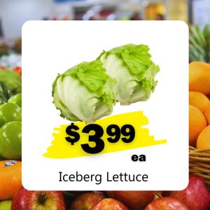 Iceberg Lettuce  (ea)