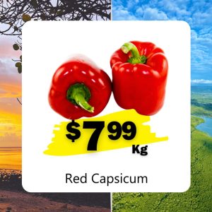 Red Capsicum (Kg)