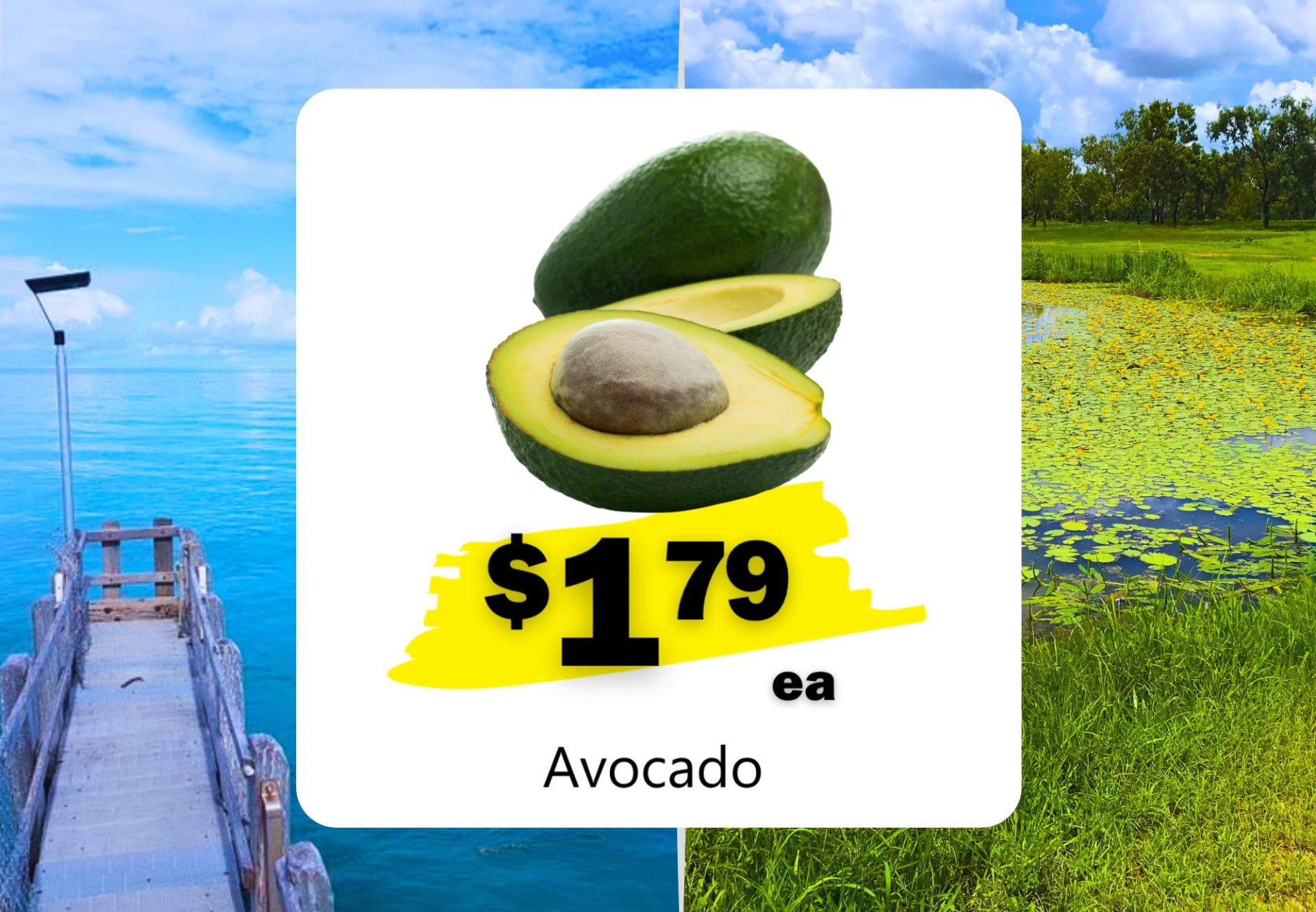 Avocado (ea)