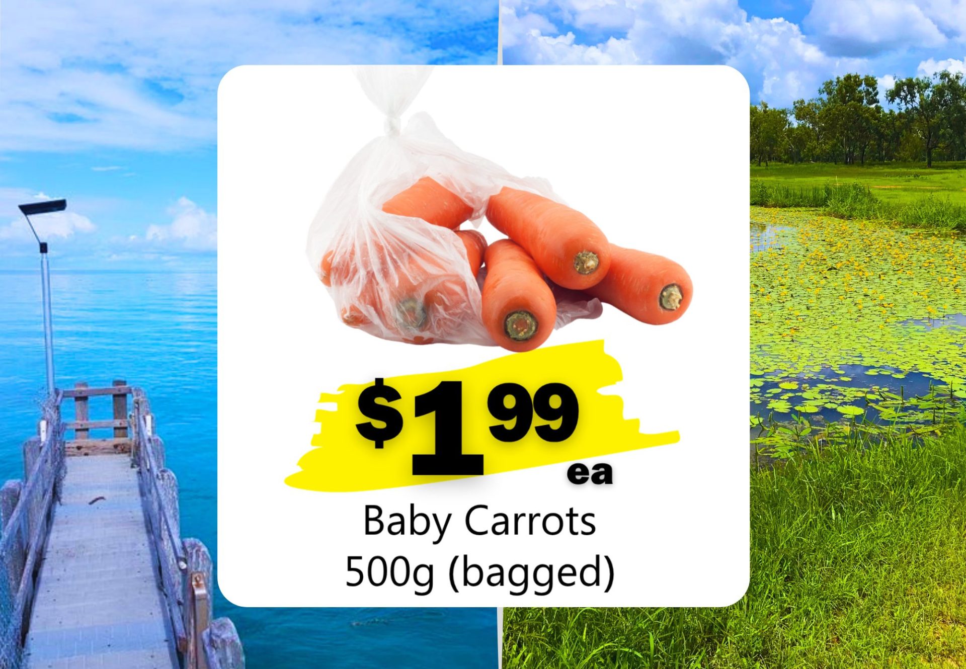 Baby Carrots 500g (Bagged) (ea)