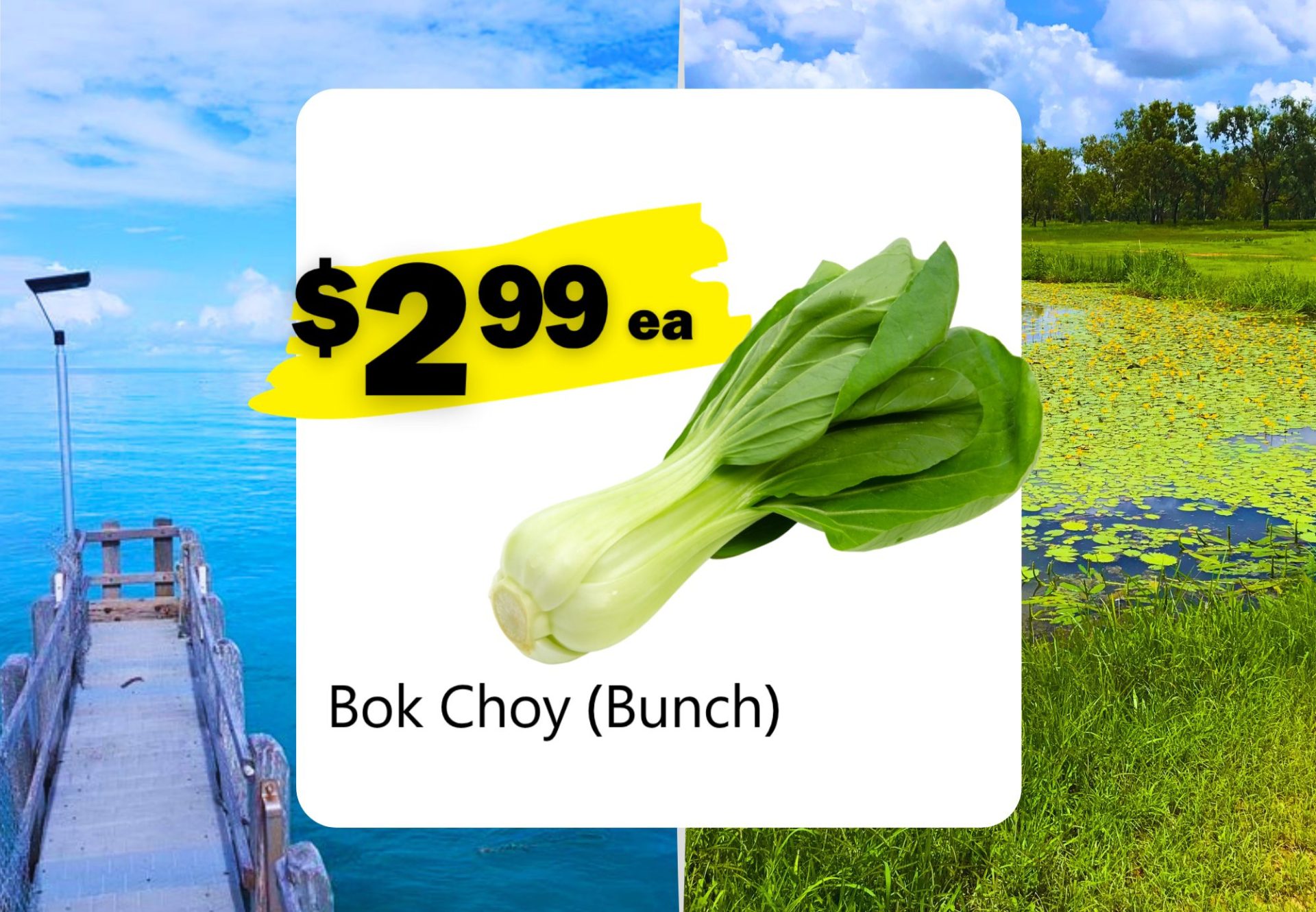 Bok Choy (Bunch) (ea)