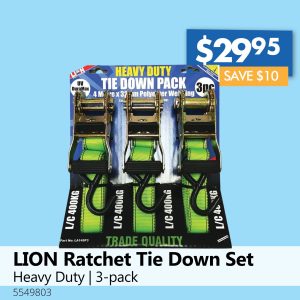 LION Ratchet Tie Down Set