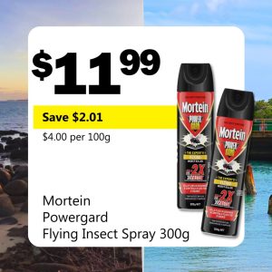 Mortein Powergard Flying Insect Spray 300g