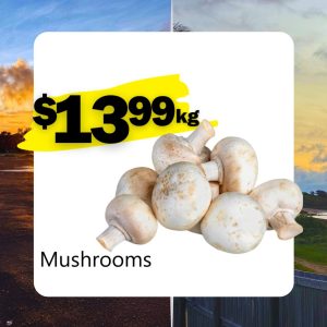 Mushrooms (Kg)