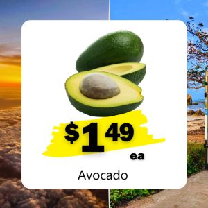Avocado (ea)