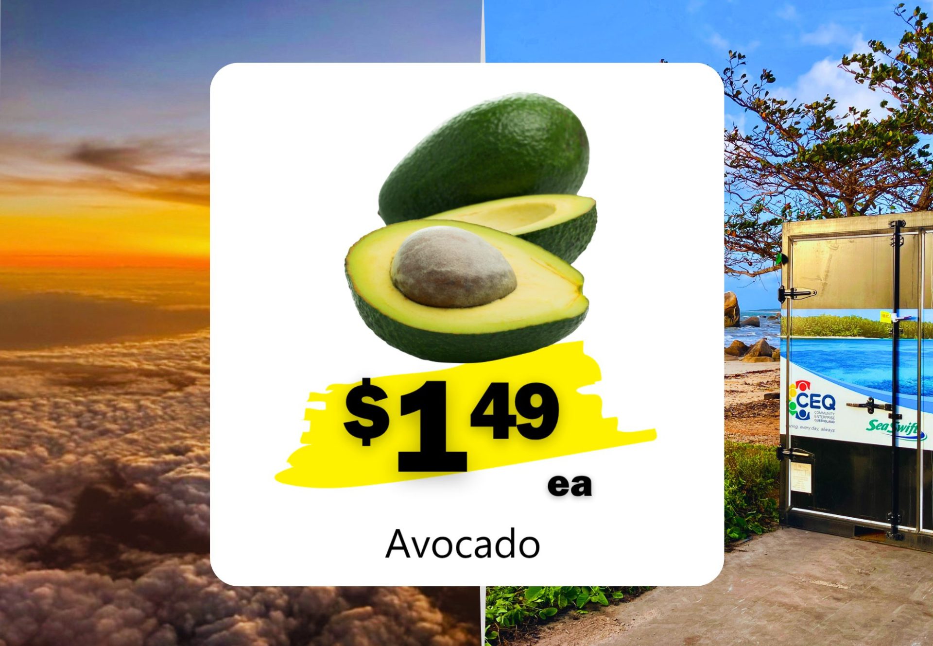 Avocado (ea)
