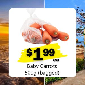 Baby Carrots 500g (bagged) (ea)