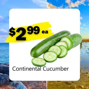Continental Cucumber (ea)
