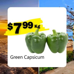 Green Capsicum (Kg)