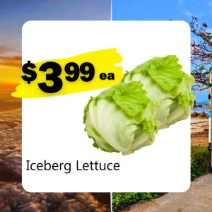 Iceberg Lettuce (ea)