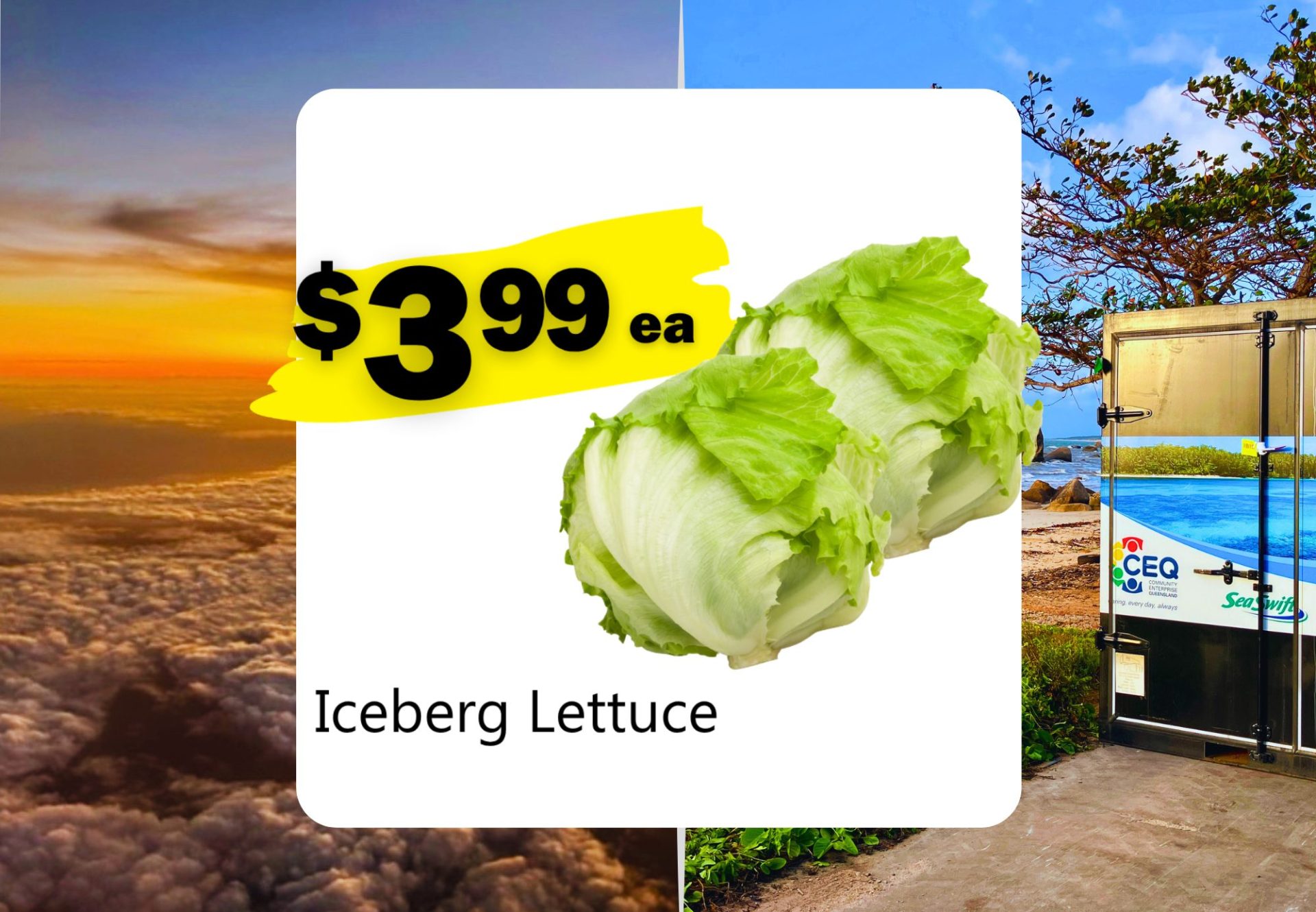 Iceberg Lettuce (ea)